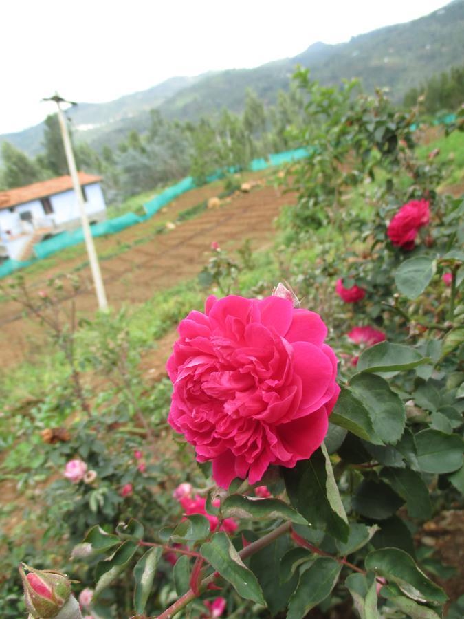 Relaxing 2 B/R Estate House, Deenaty, Tamil Nadu Coimbatore Esterno foto